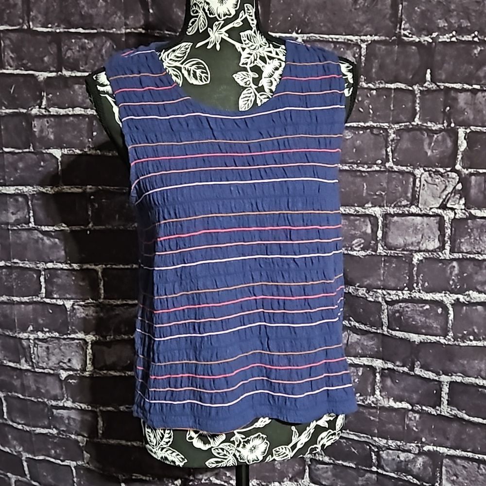 Madewell Navy Blue & Pink Striped  Casual Sleeveless CLEARANCE